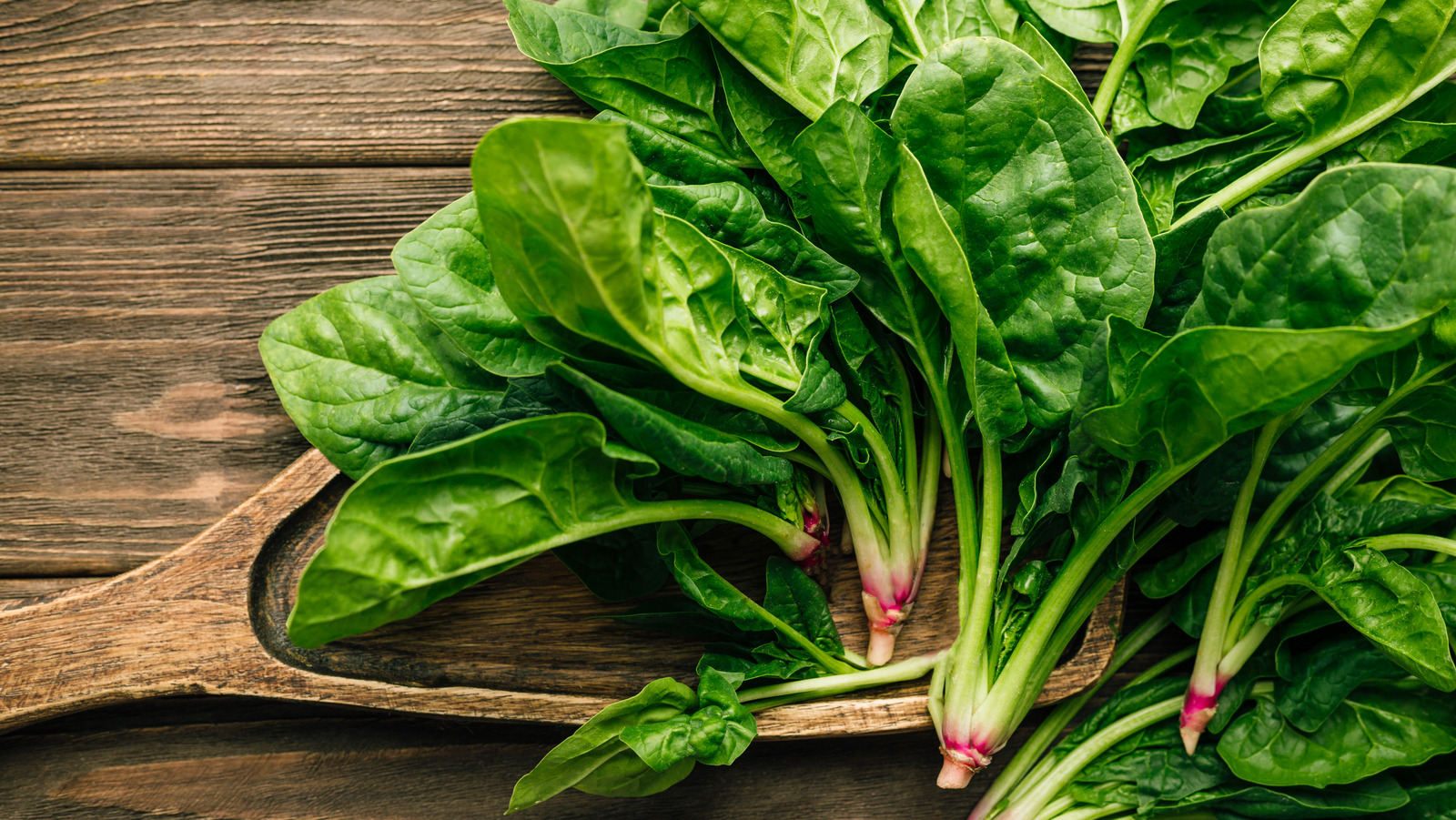 Delve into the nutritional powerhouse of spinach, a leafy green that packs a punch. Explore the health benefits, culinary versatility, and delicious ways to incorporate spinach into your diet. Learn how this green superfood can boost your well-being and elevate your meals. Uncover the potential of spinach for a healthier you.