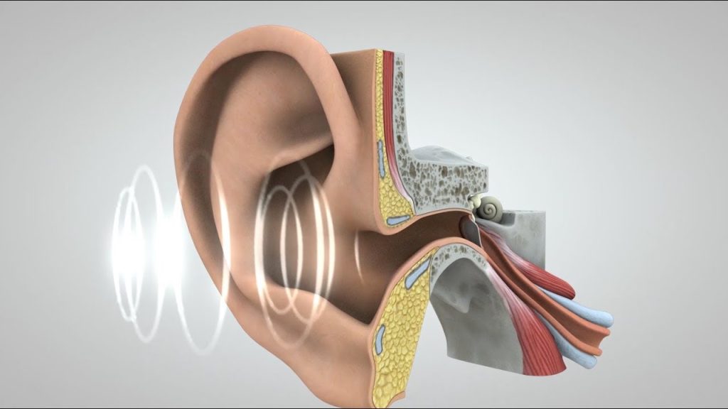 Protect your hearing and ensure sound ear health with our expert tips. Discover strategies for preventing hearing loss, managing earwax, and maintaining overall ear well-being. Explore the secrets to preserving your hearing and enjoying a life filled with clear, vibrant sounds. Start your journey to sound ear health today!