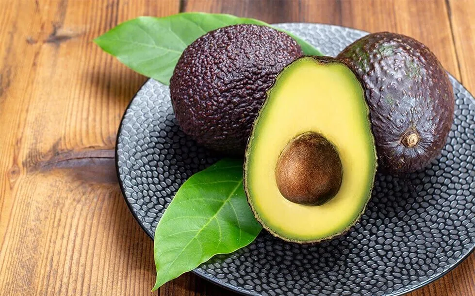 Explore the nutrient-dense world of avocados at AvocadoNourish.com. Learn about the health benefits of this versatile fruit and discover delicious avocado-based recipes. Enhance your well-being one avocado at a time!
