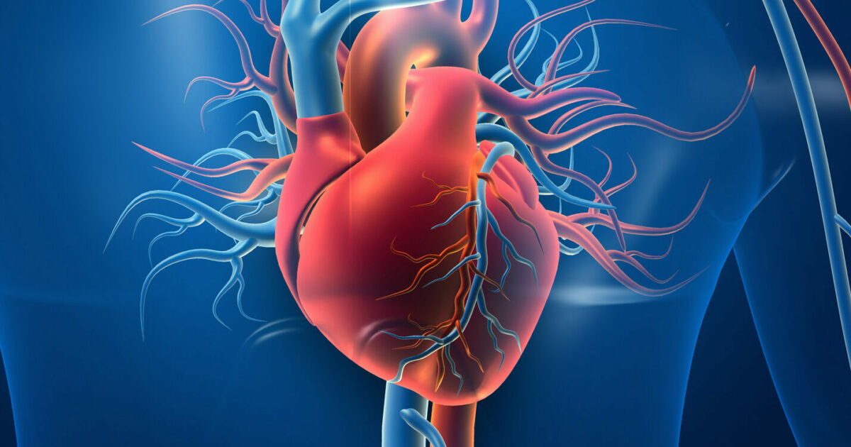 Discover the critical factors influencing your cardiovascular health. Explore how lifestyle choices, diet, exercise, and genetics can affect your heart and blood vessels. Learn how to make informed decisions to maintain a strong and healthy cardiovascular system.