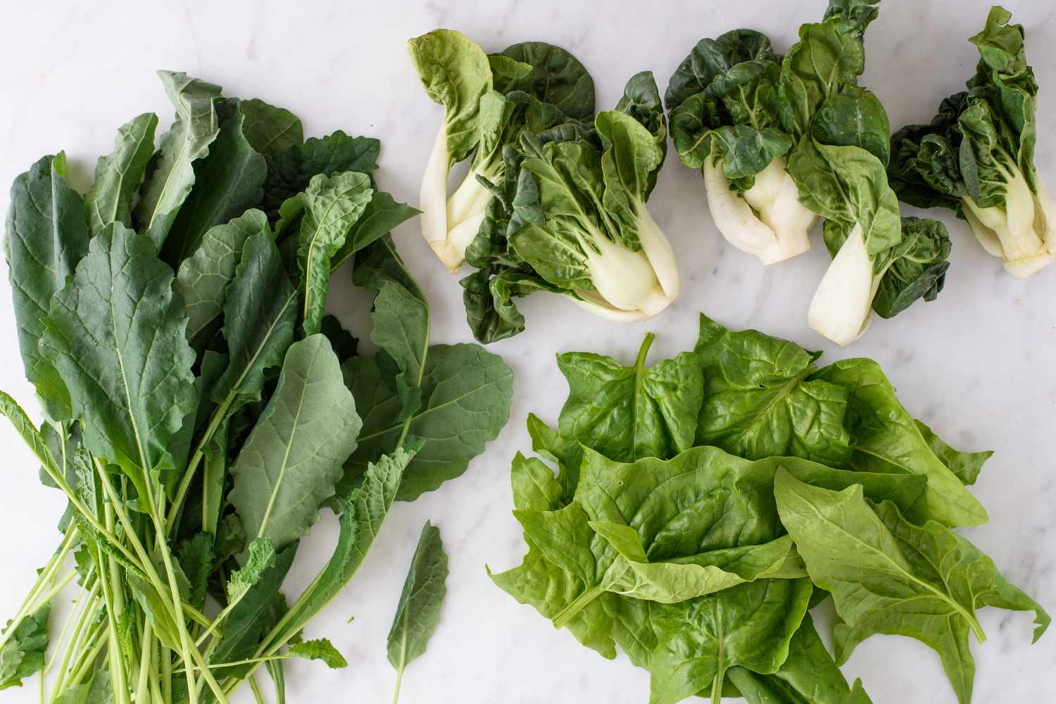 Discover the nutritional wonders of leafy greens at LeafyGreensHub. Learn how these powerhouses of nutrients can boost your health and vitality. Find tips, recipes, and more for a greener, healthier lifestyle.