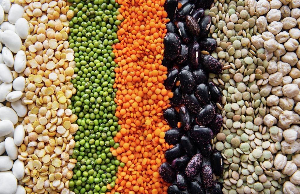 Discover the nutritional prowess of protein and fiber-packed legumes. Learn more about their health benefits and find delicious recipes at Legumes cRUs. Elevate your well-being with every bite!