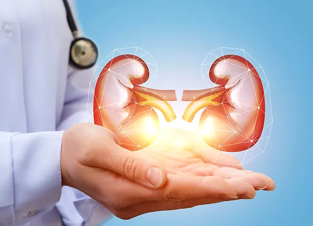 Discover the importance of seeking professional help for kidney health. Learn about kidney specialists, diagnostic tests, and treatment options for optimal renal well-being. Find the right care for your kidneys.